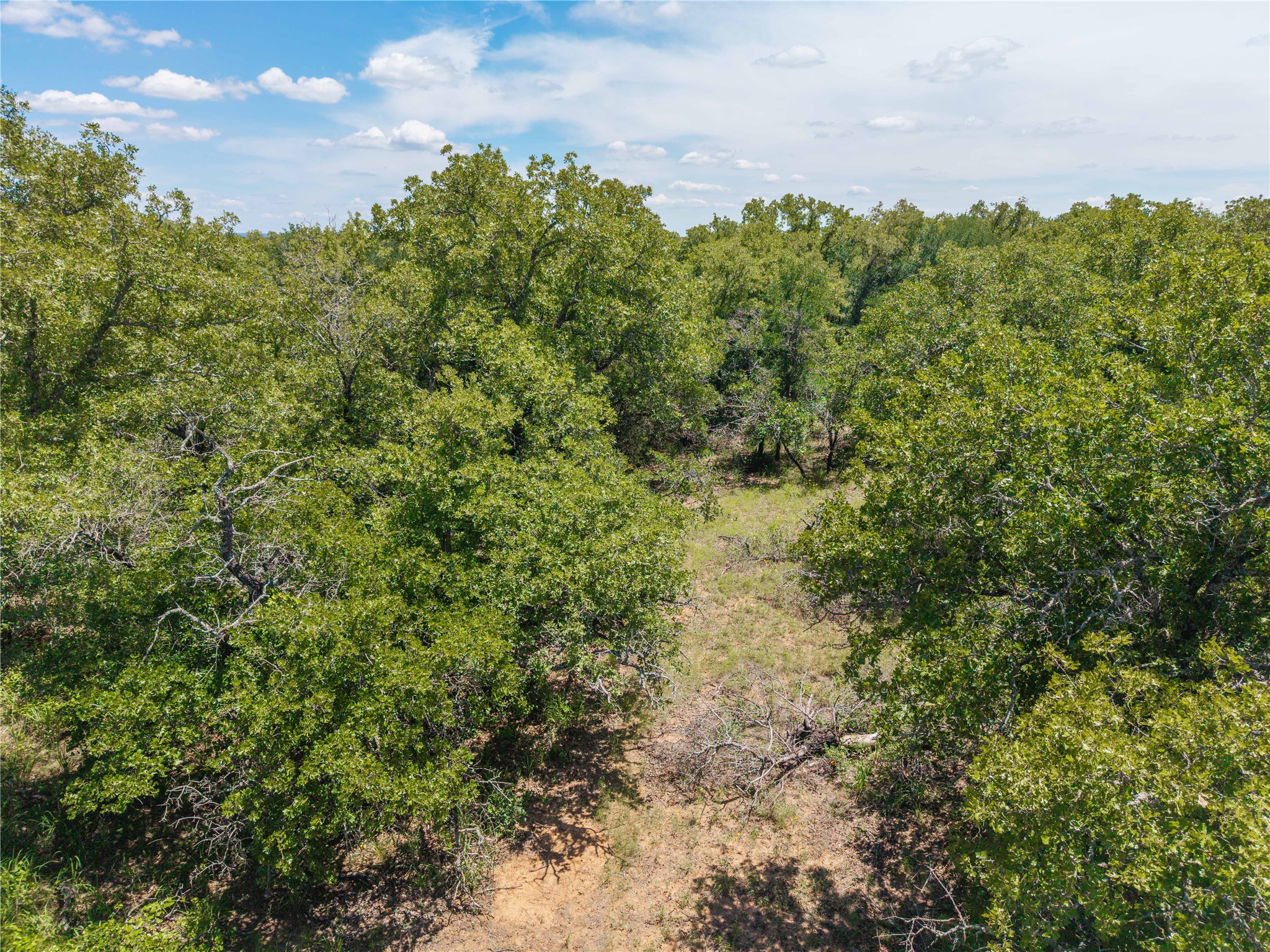 18 A Tract 1 Highway 16 De Leon TX 76444