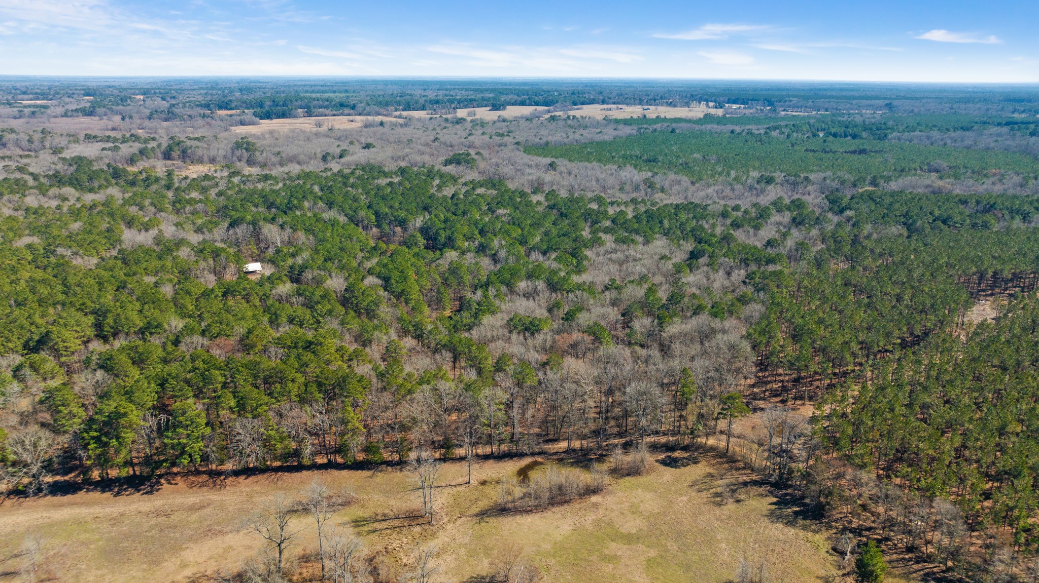 Tbd County Road 2237 Bagwell TX 75412