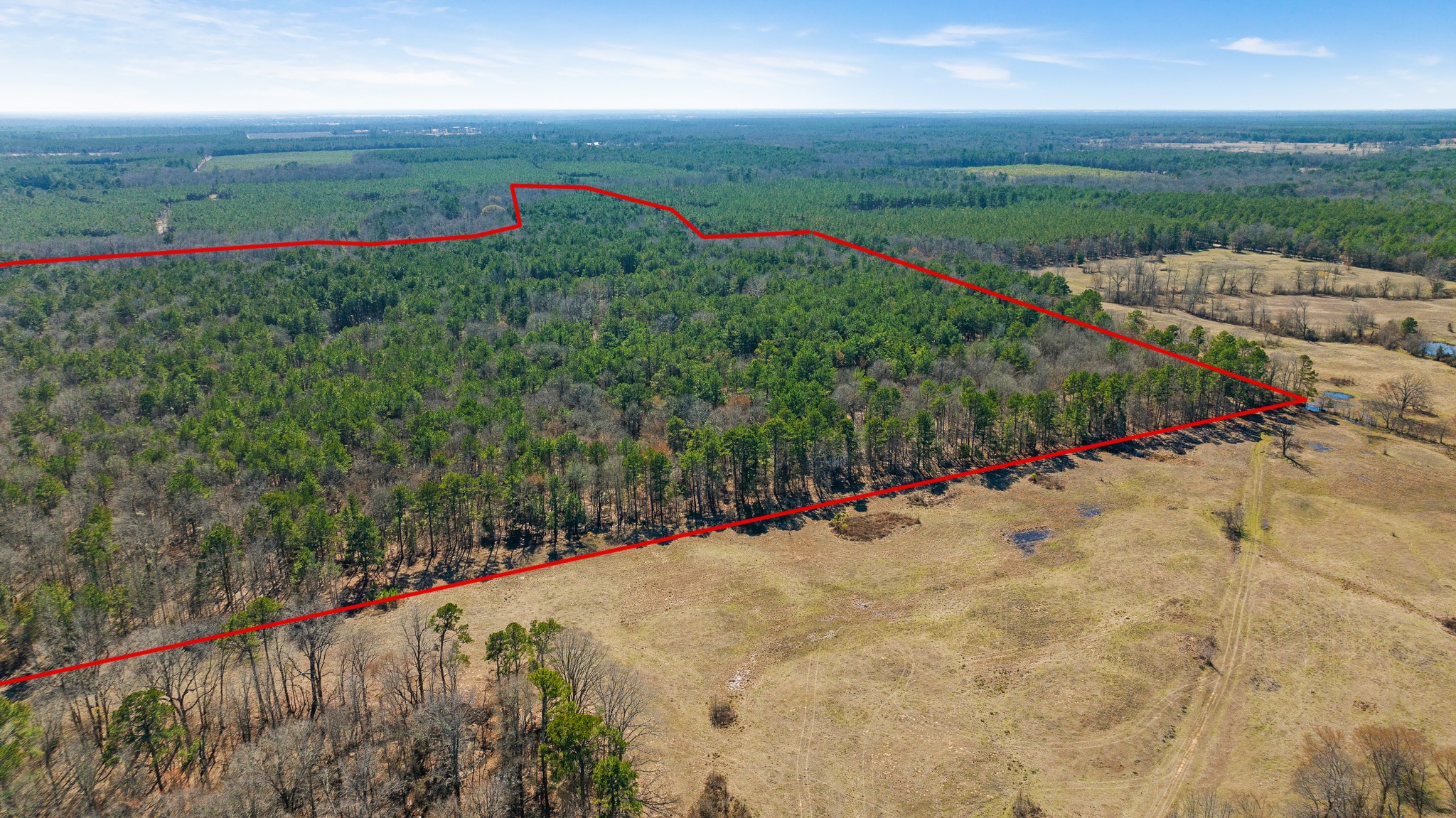 Tbd County Road 2237 Bagwell TX 75412