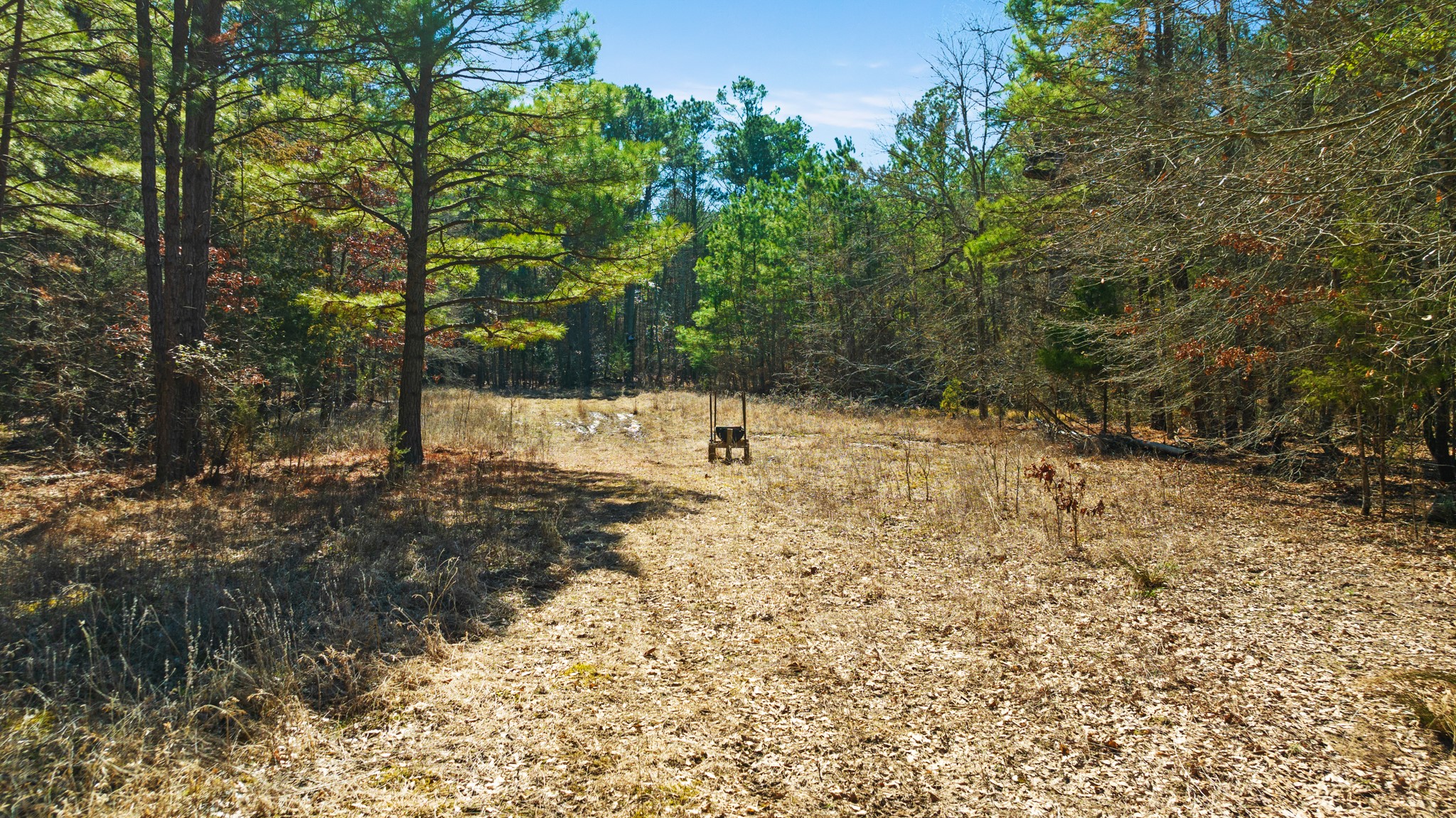 Tbd County Road 2237 Bagwell TX 75412