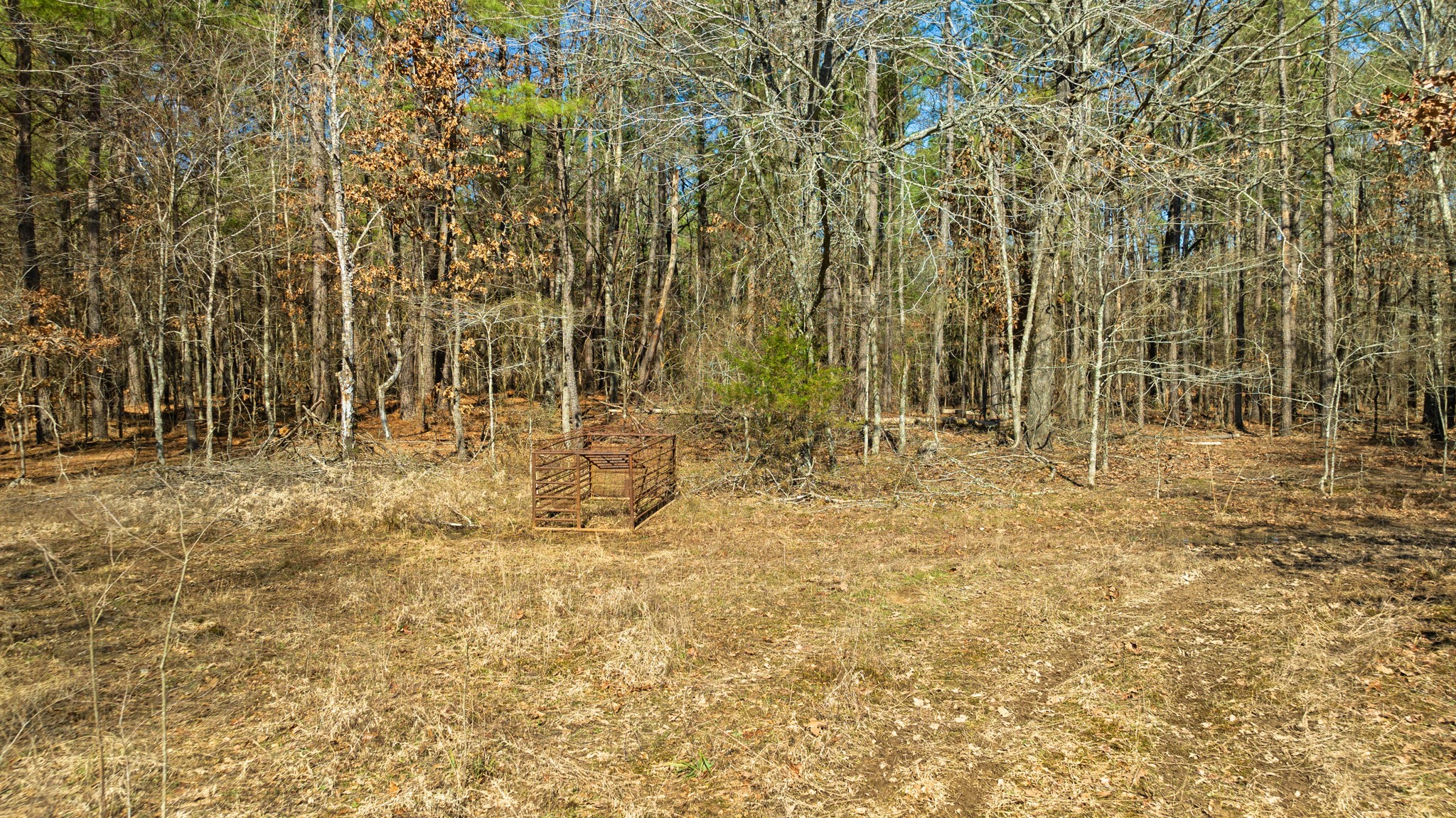 Tbd County Road 2237 Bagwell TX 75412