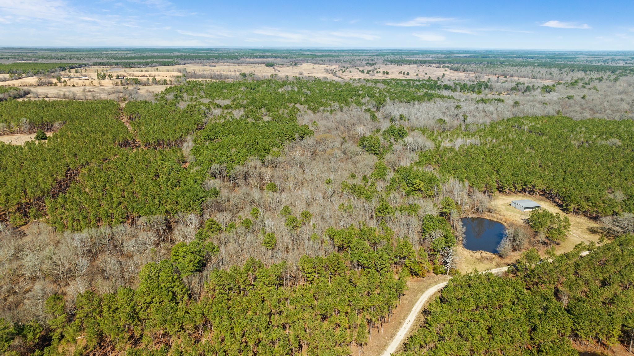 Tbd County Road 2237 Bagwell TX 75412
