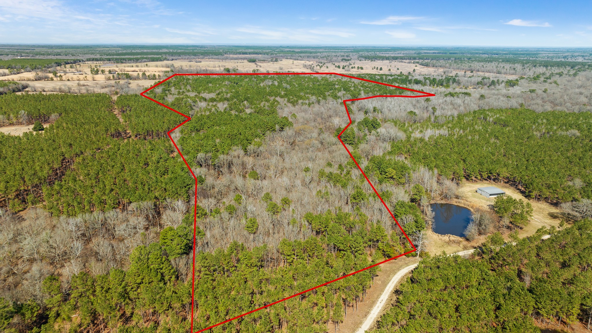 Tbd County Road 2237 Bagwell TX 75412
