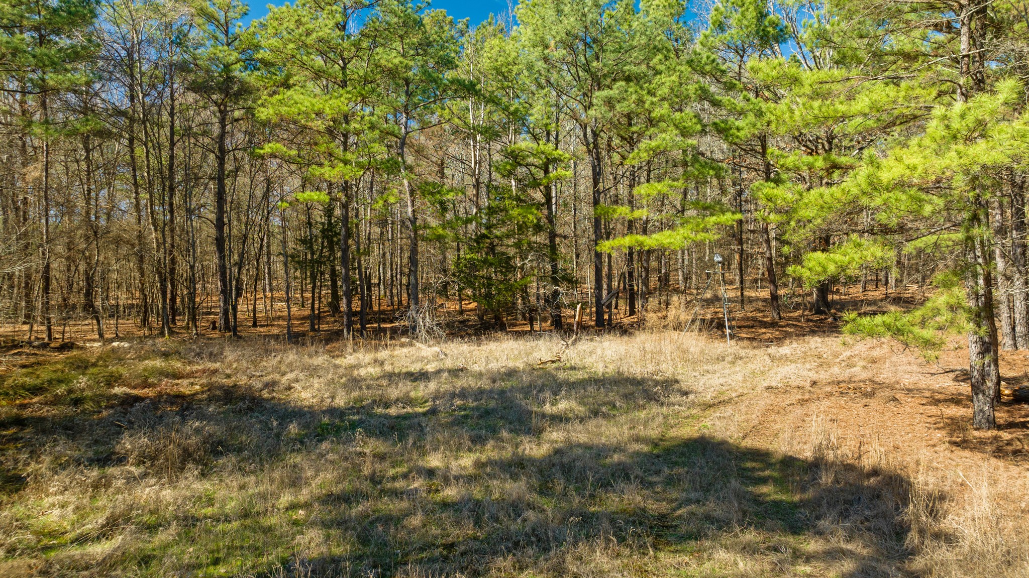 Tbd County Road 2237 Bagwell TX 75412