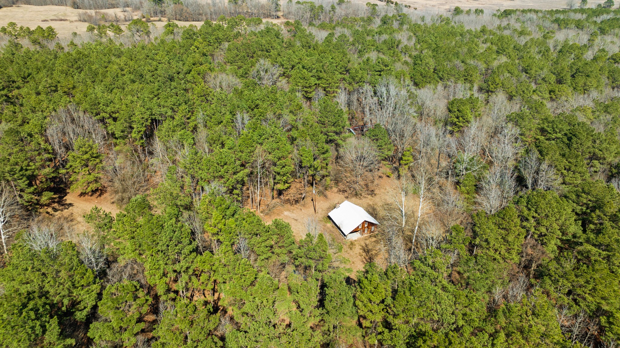 Tbd County Road 2237 Bagwell TX 75412