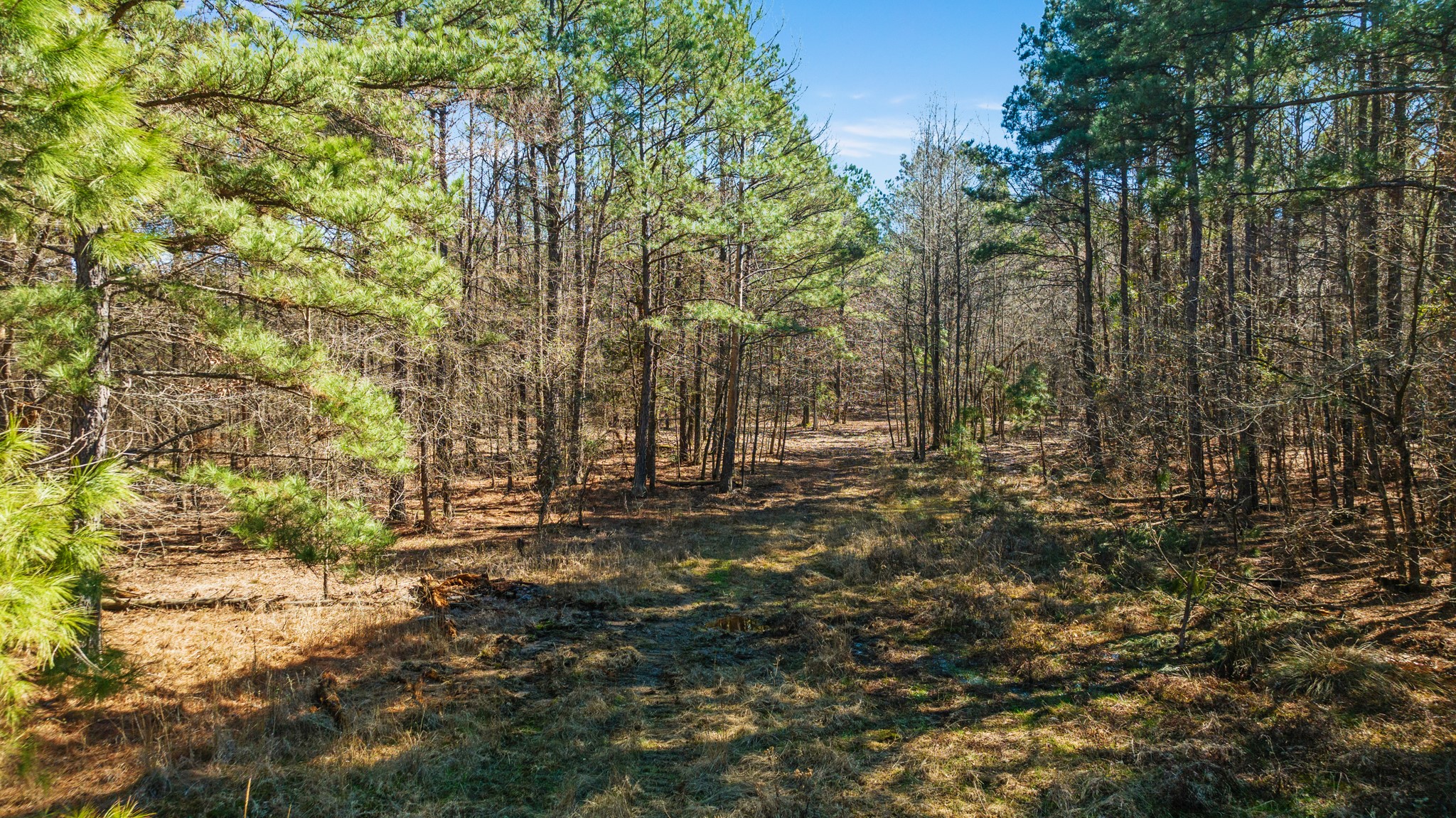 Tbd County Road 2237 Bagwell TX 75412