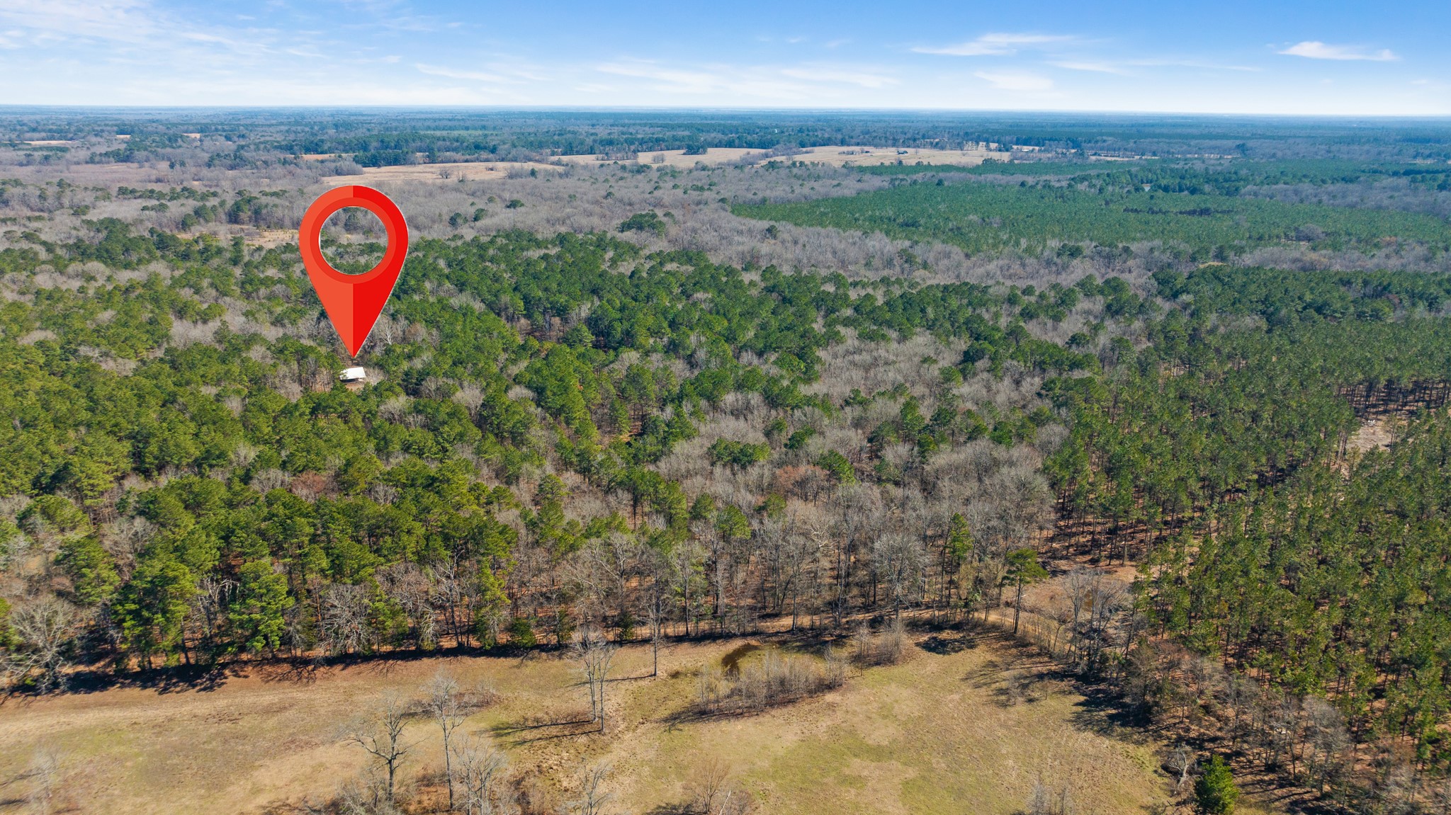 Tbd County Road 2237 Bagwell TX 75412