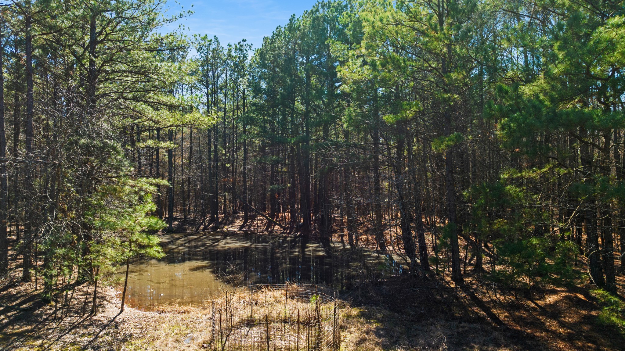 Tbd County Road 2237 Bagwell TX 75412