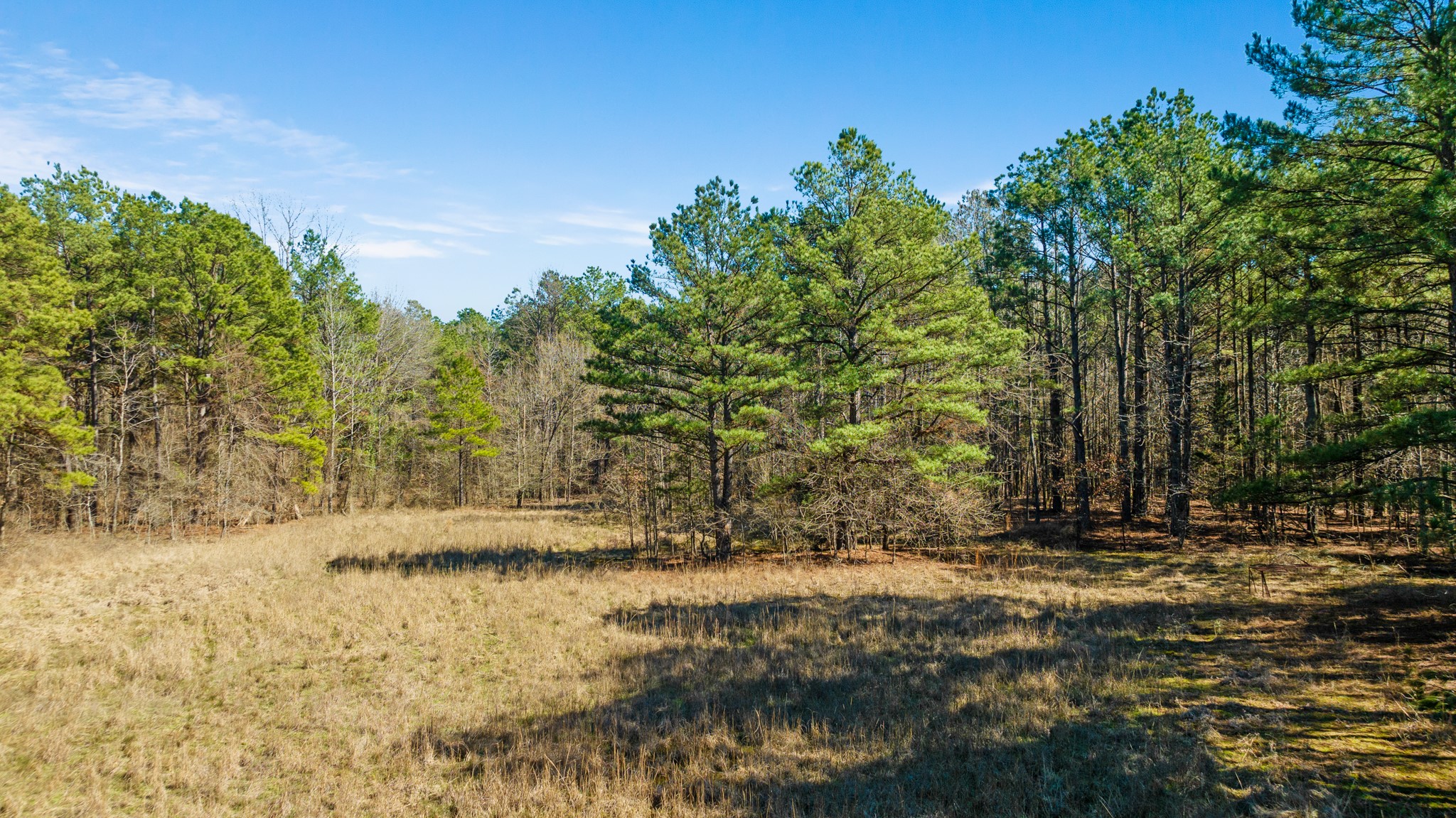 Tbd County Road 2237 Bagwell TX 75412