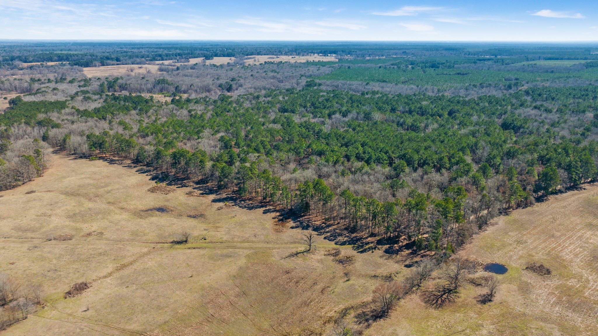 Tbd County Road 2237 Bagwell TX 75412