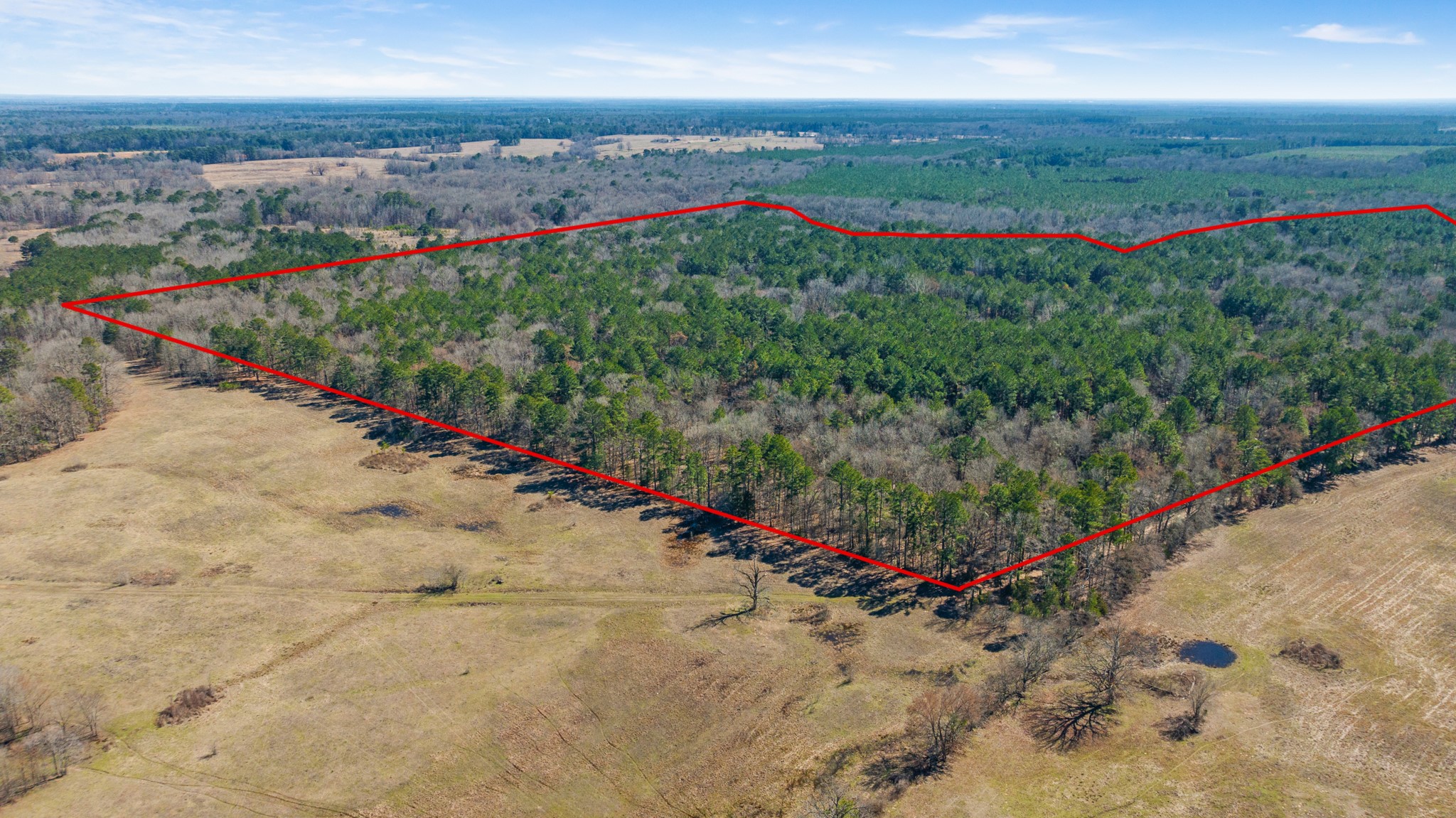 Tbd County Road 2237 Bagwell TX 75412