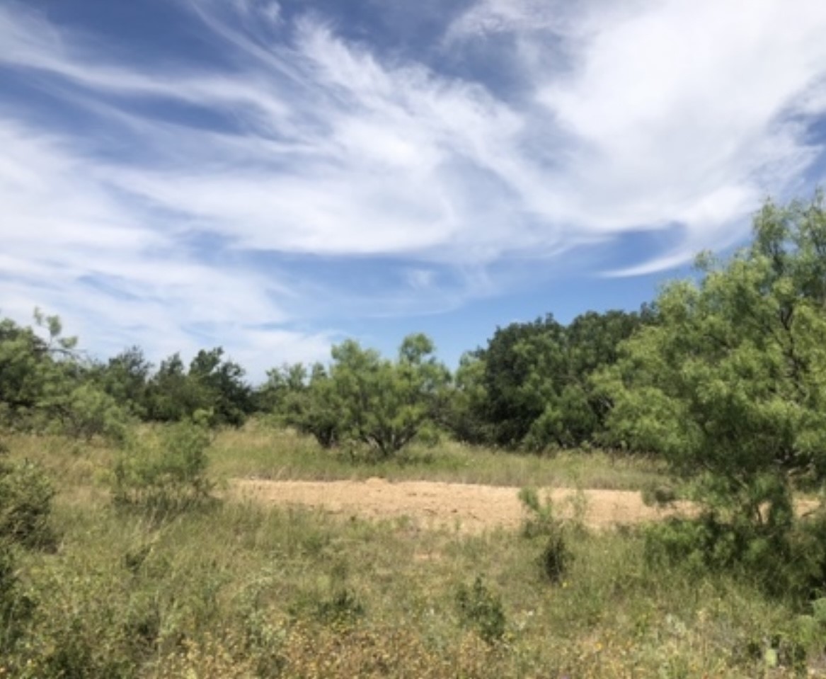 Tbd Lot 640 Feather Bay Drive #1 Brownwood TX 76801