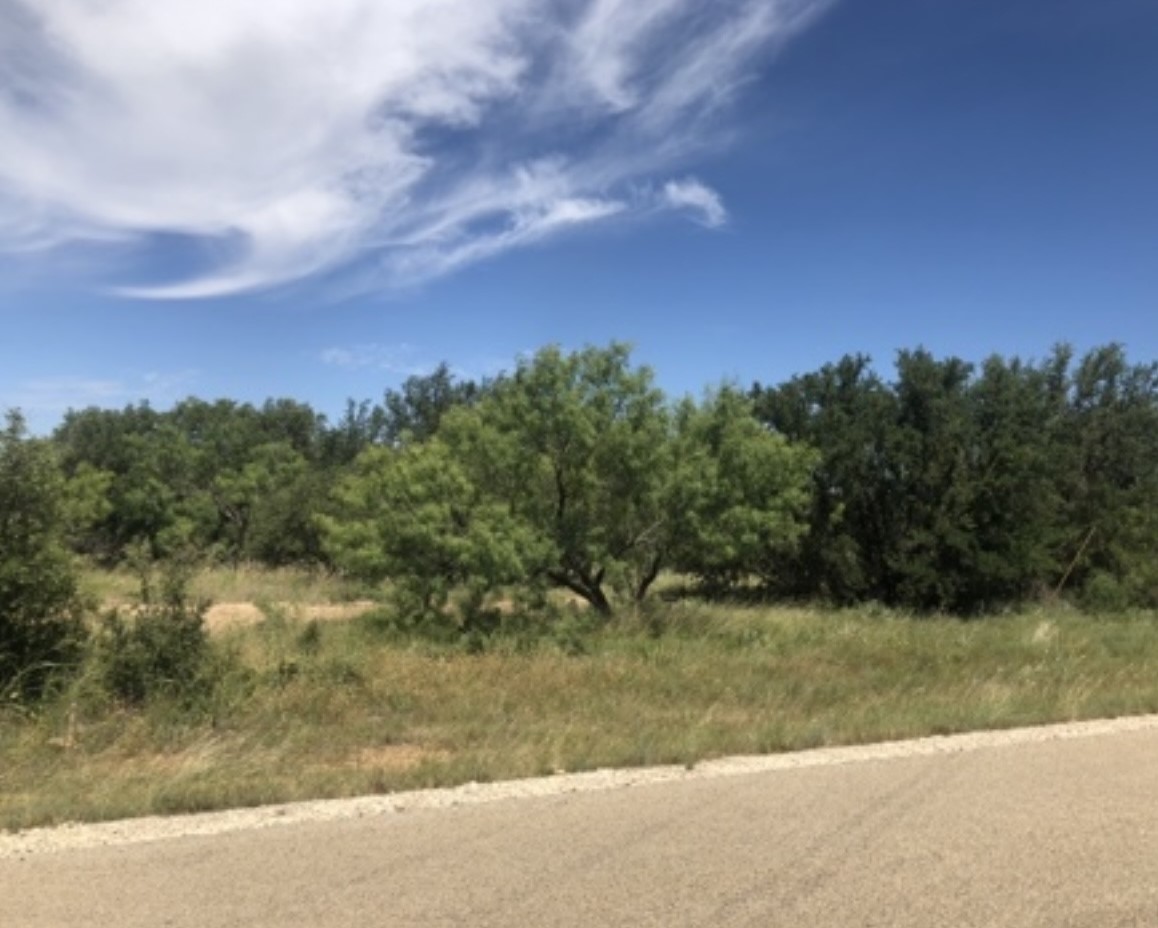 Tbd Lot 640 Feather Bay Drive #1 Brownwood TX 76801