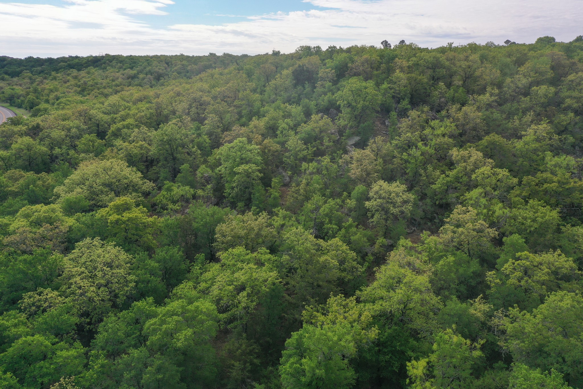 55 Acres Fm 61 Graham TX 76450