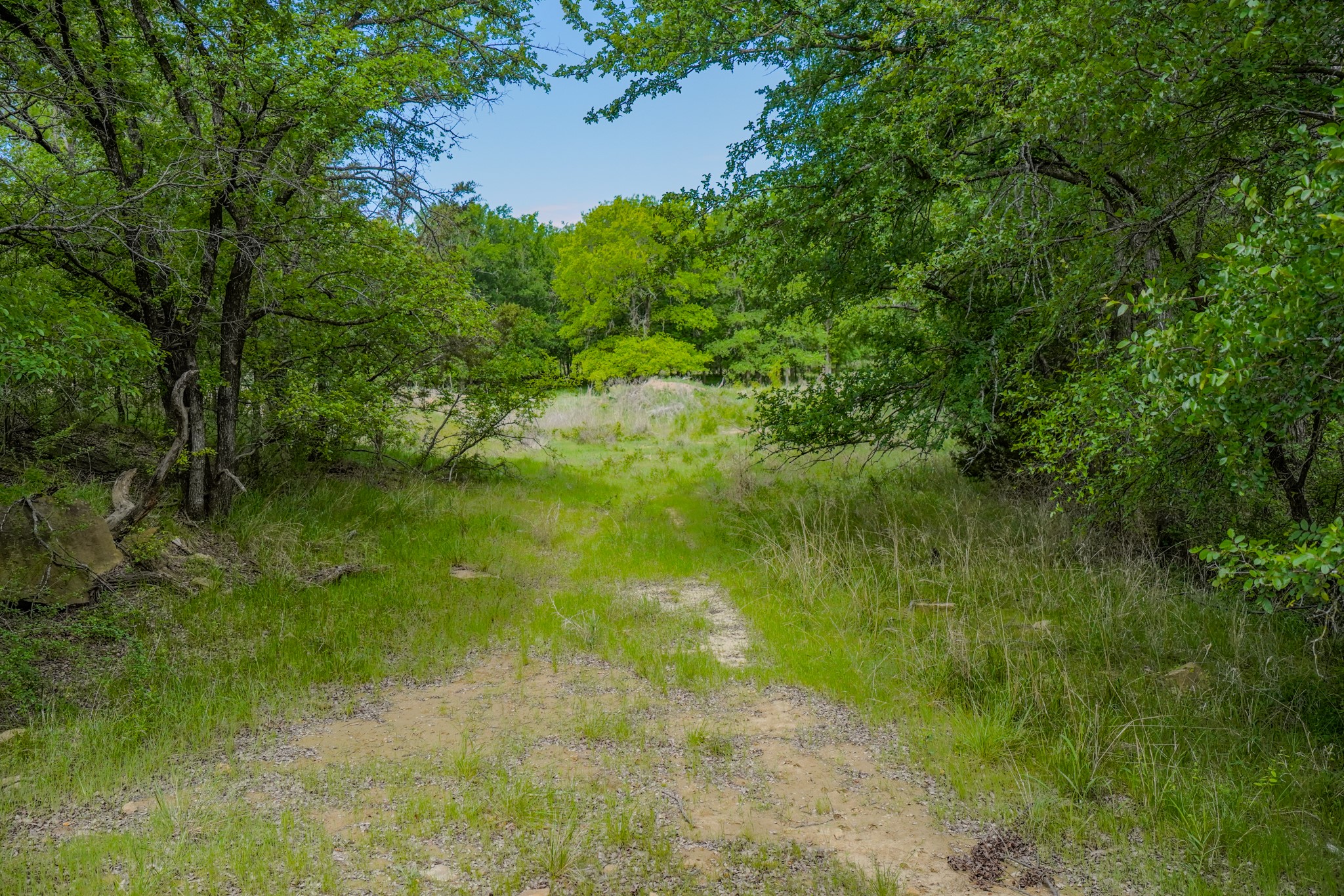 55 Acres Fm 61 Graham TX 76450