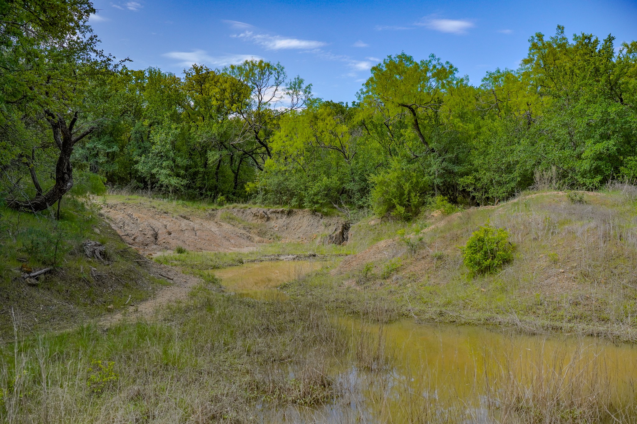 55 Acres Fm 61 Graham TX 76450