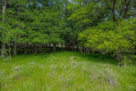 55 Acres Fm 61 Graham TX 76450