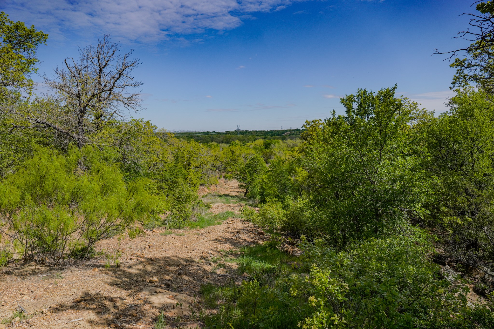 55 Acres Fm 61 Graham TX 76450