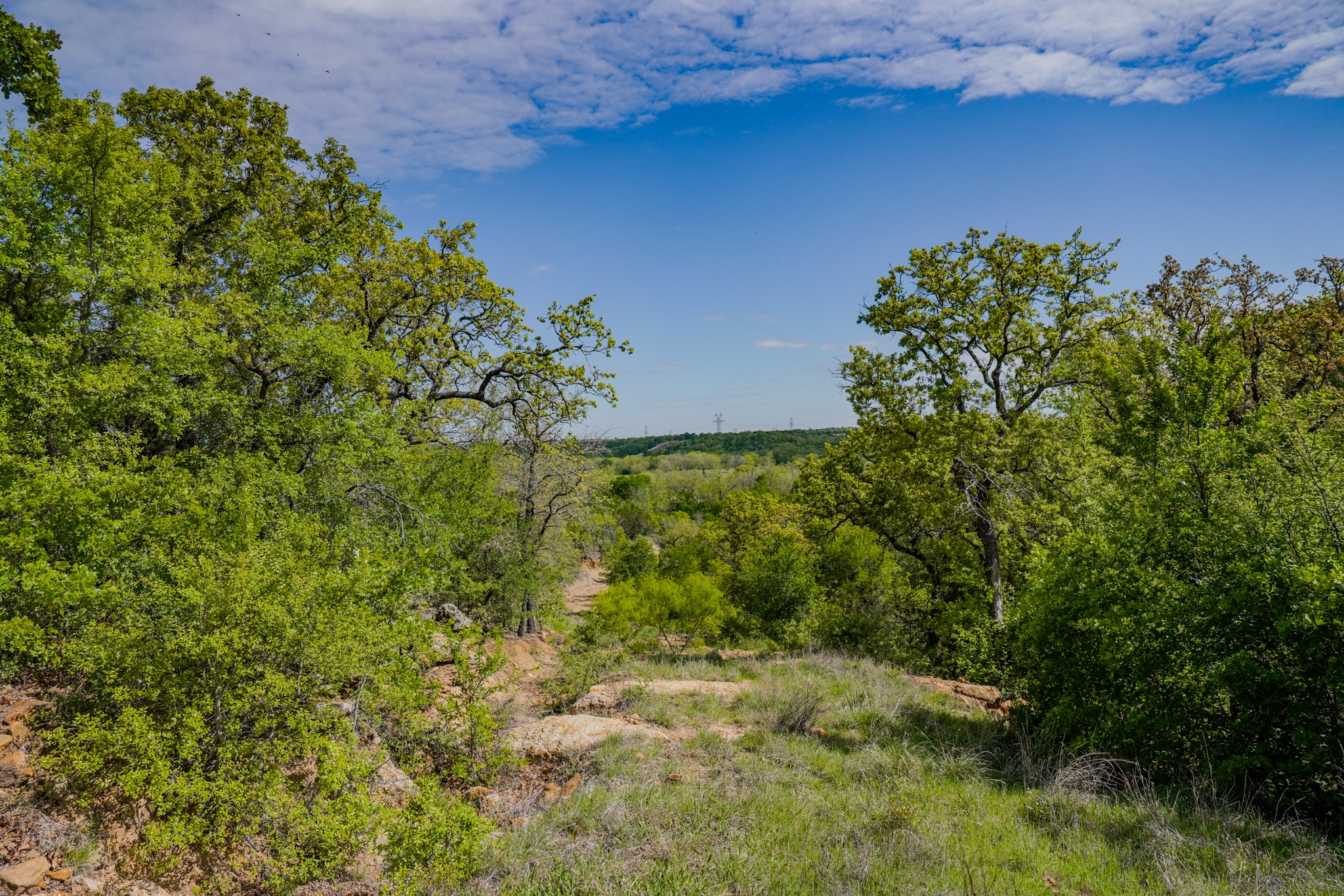 55 Acres Fm 61 Graham TX 76450