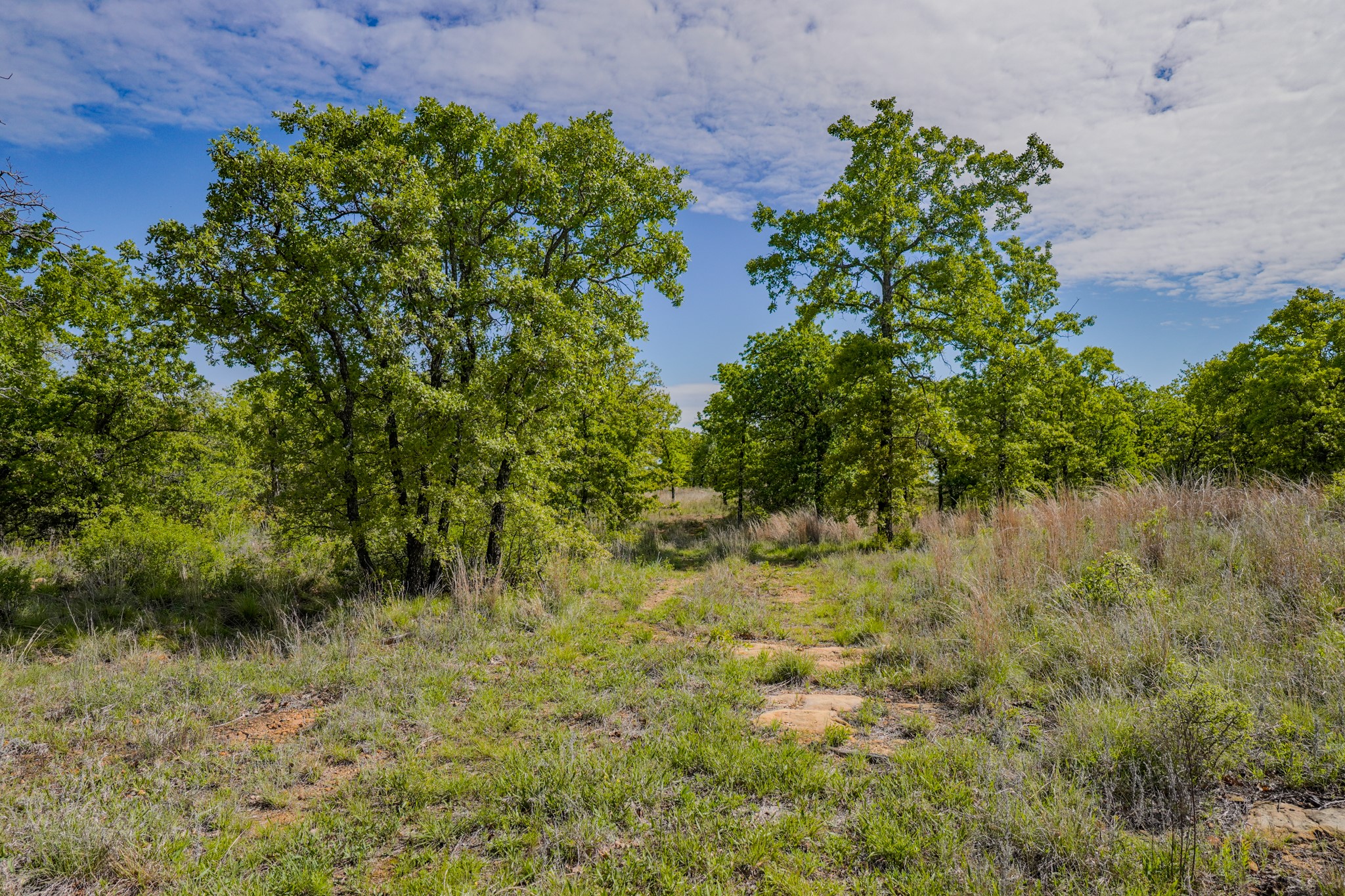 55 Acres Fm 61 Graham TX 76450