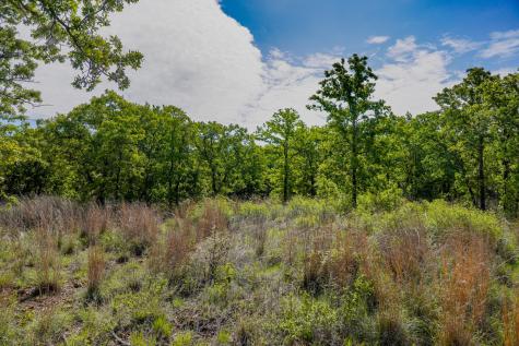 55 Acres Fm 61 Graham TX 76450