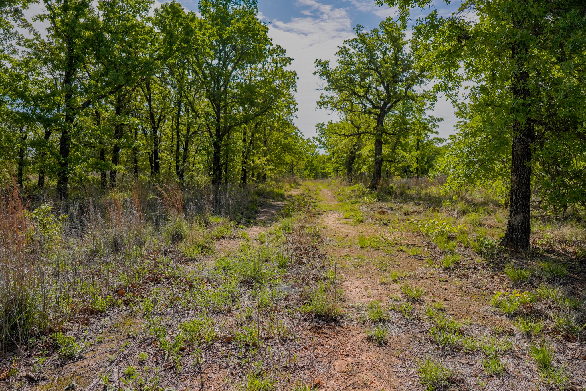55 Acres Fm 61 Graham TX 76450