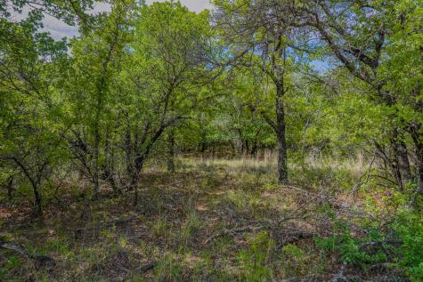 55 Acres Fm 61 Graham TX 76450