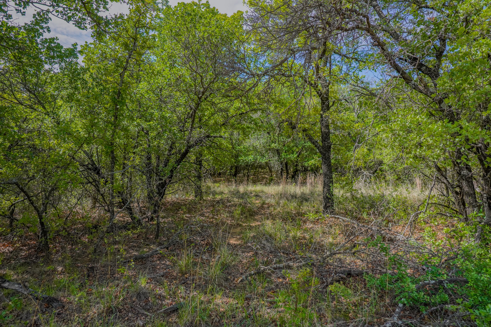 55 Acres Fm 61 Graham TX 76450