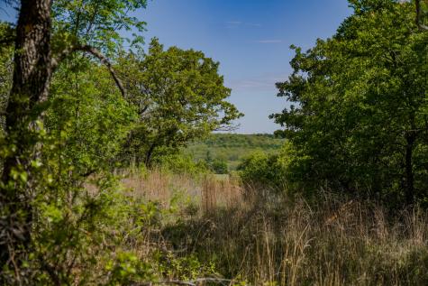 55 Acres Fm 61 Graham TX 76450