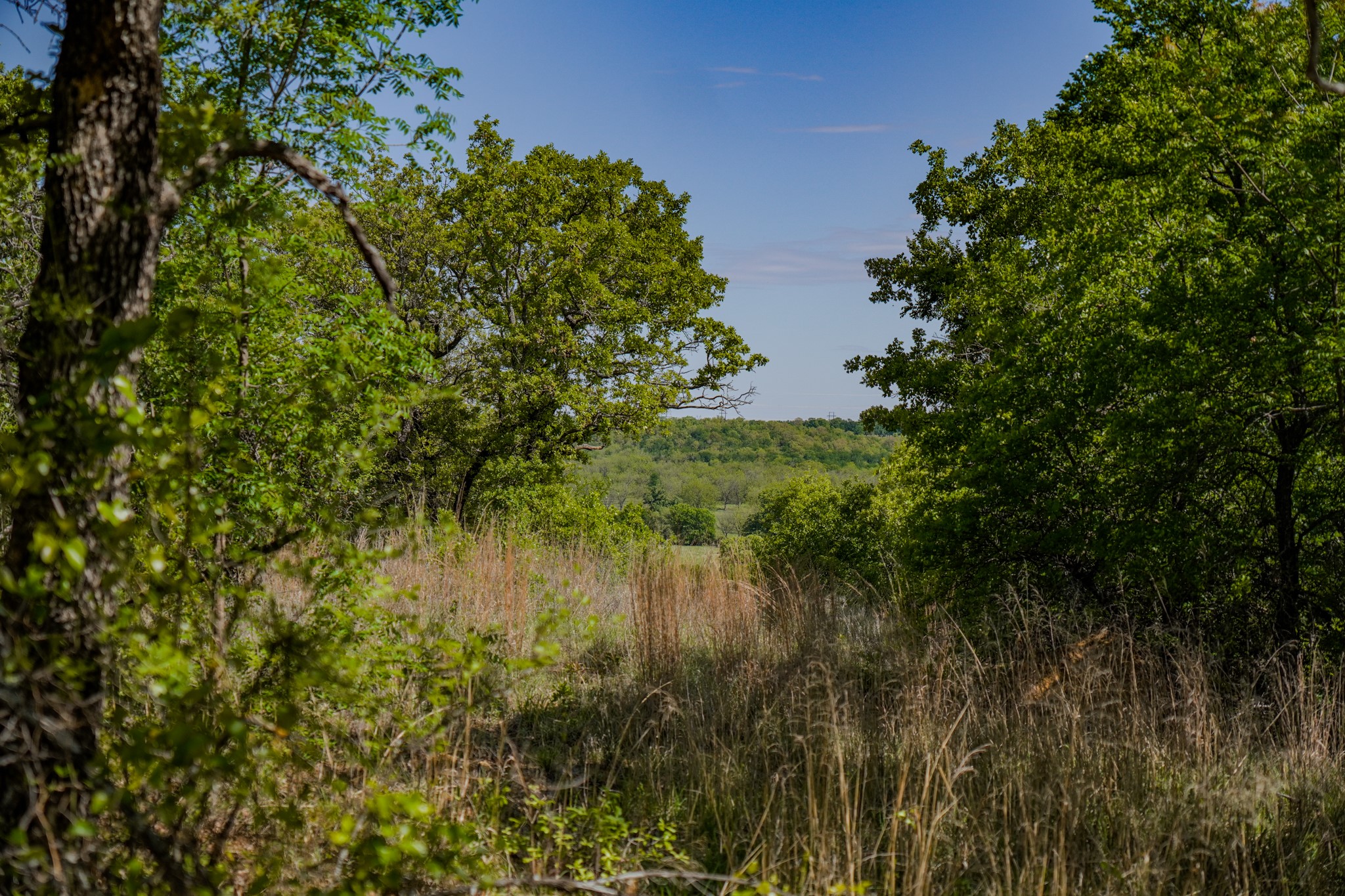 55 Acres Fm 61 Graham TX 76450