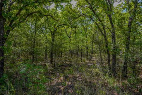 55 Acres Fm 61 Graham TX 76450