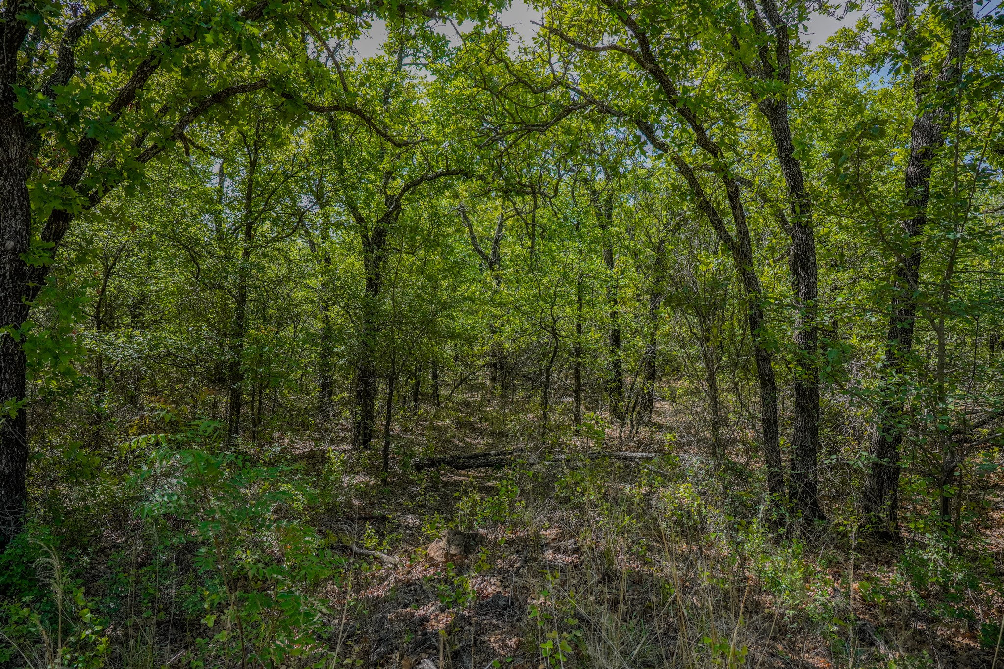 55 Acres Fm 61 Graham TX 76450