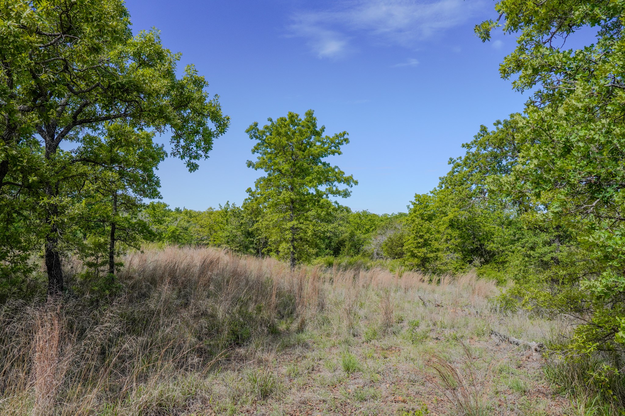 55 Acres Fm 61 Graham TX 76450