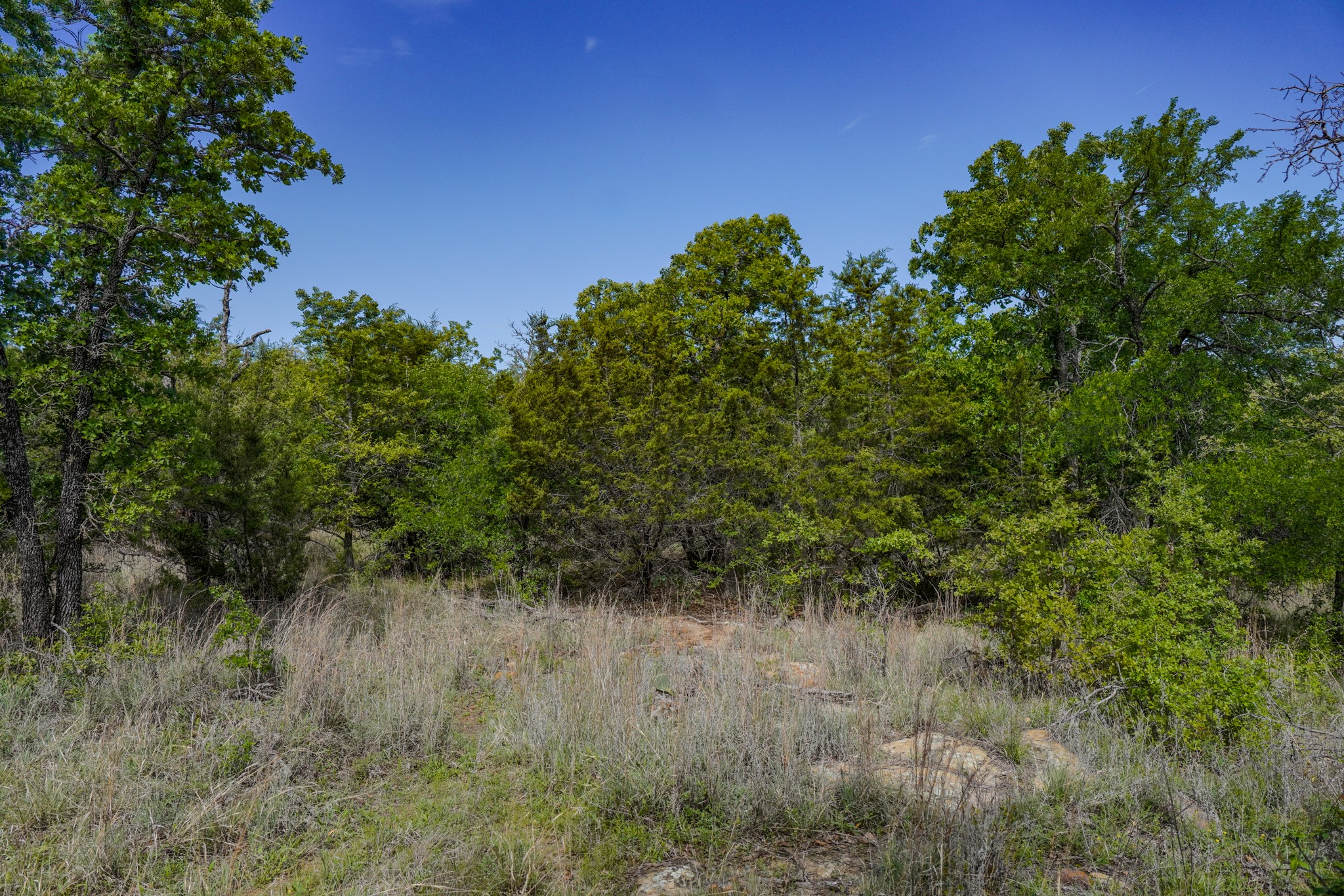 55 Acres Fm 61 Graham TX 76450