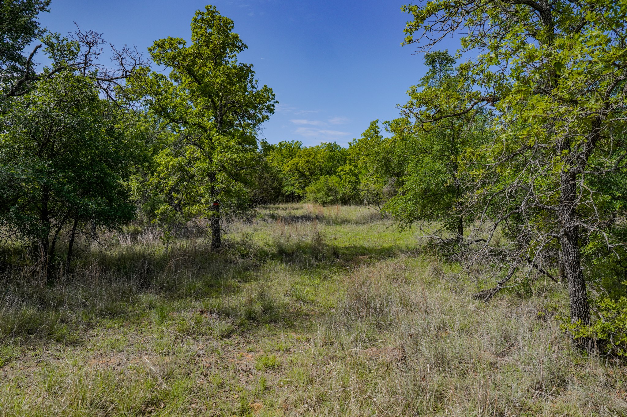 55 Acres Fm 61 Graham TX 76450