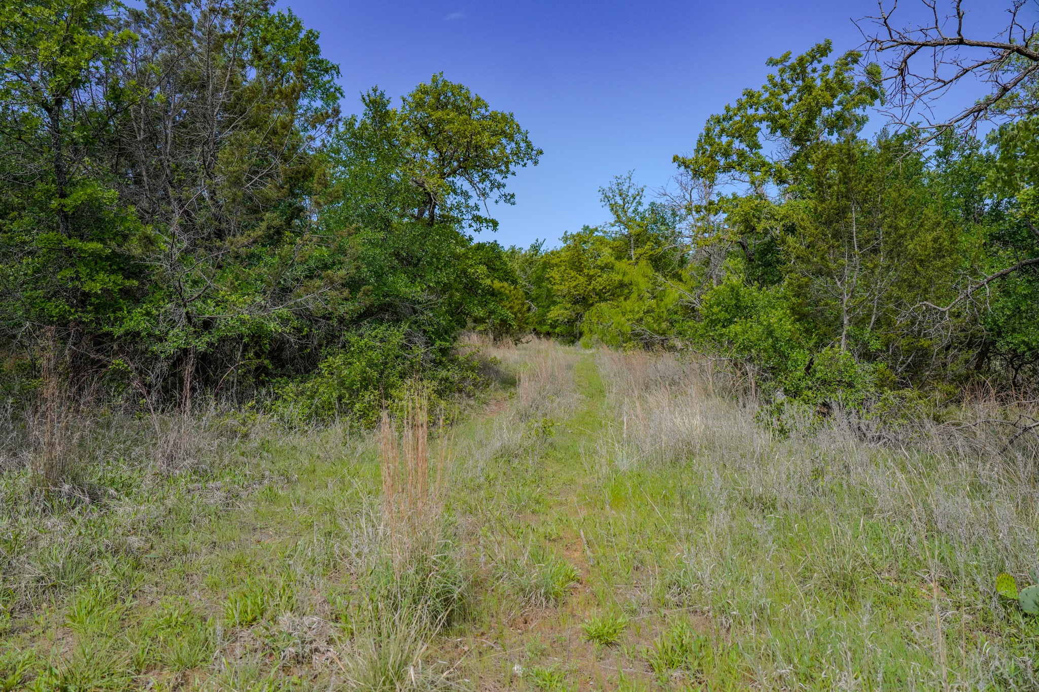 55 Acres Fm 61 Graham TX 76450