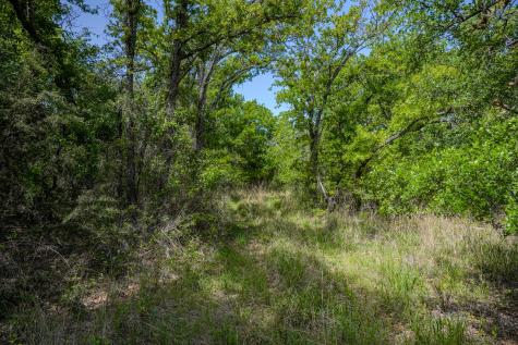 55 Acres Fm 61 Graham TX 76450