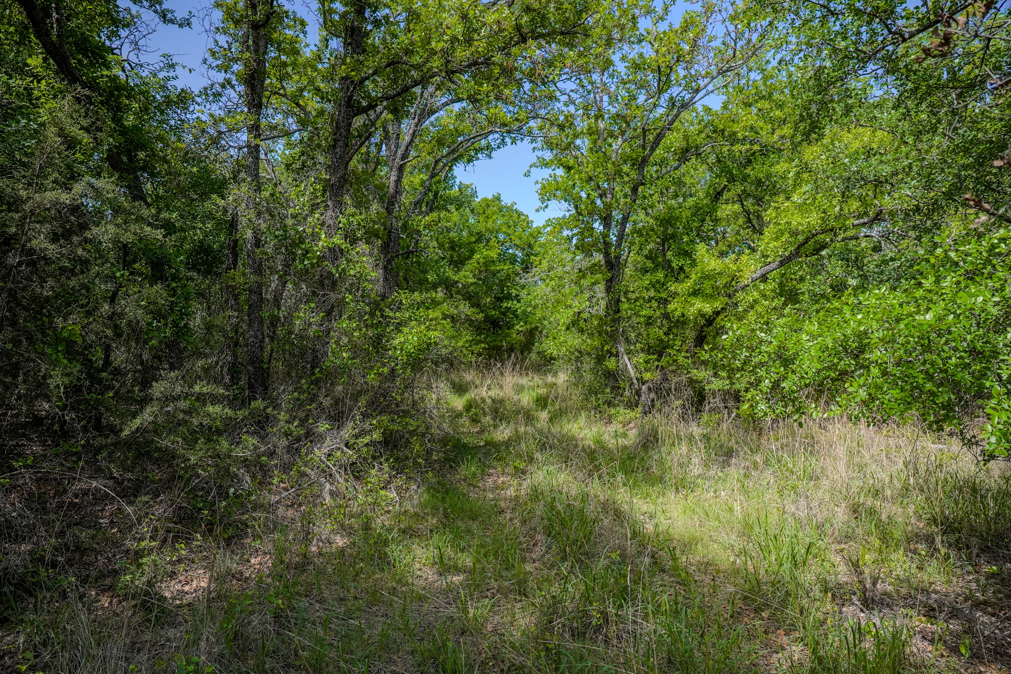 55 Acres Fm 61 Graham TX 76450
