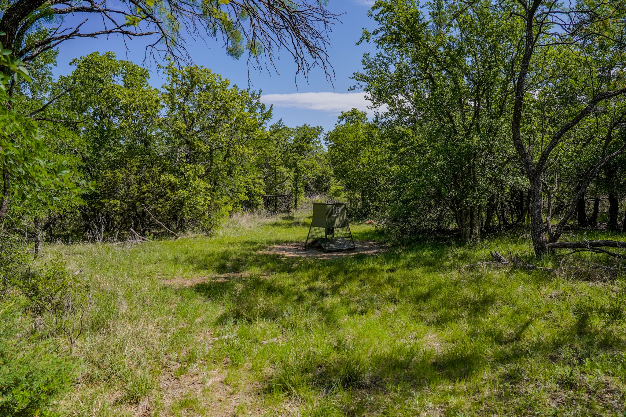 55 Acres Fm 61 Graham TX 76450