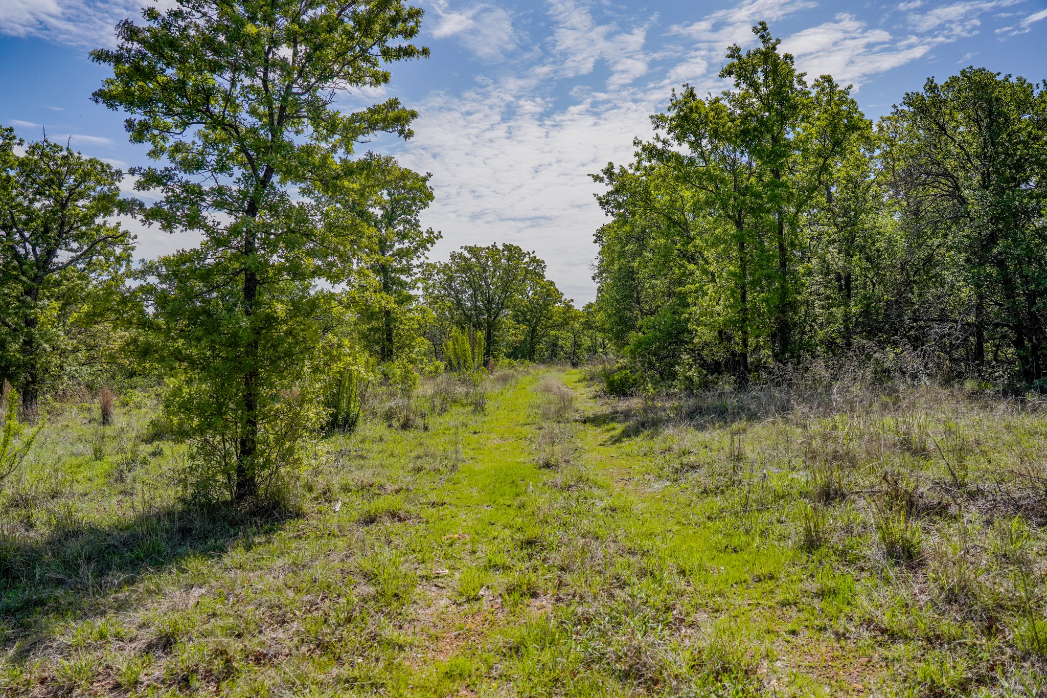 55 Acres Fm 61 Graham TX 76450