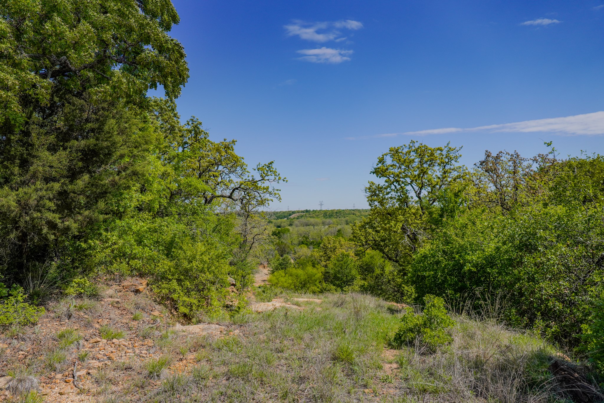 55 Acres Fm 61 Graham TX 76450