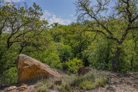 55 Acres Fm 61 Graham TX 76450