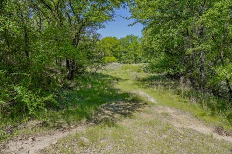 55 Acres Fm 61 Graham TX 76450
