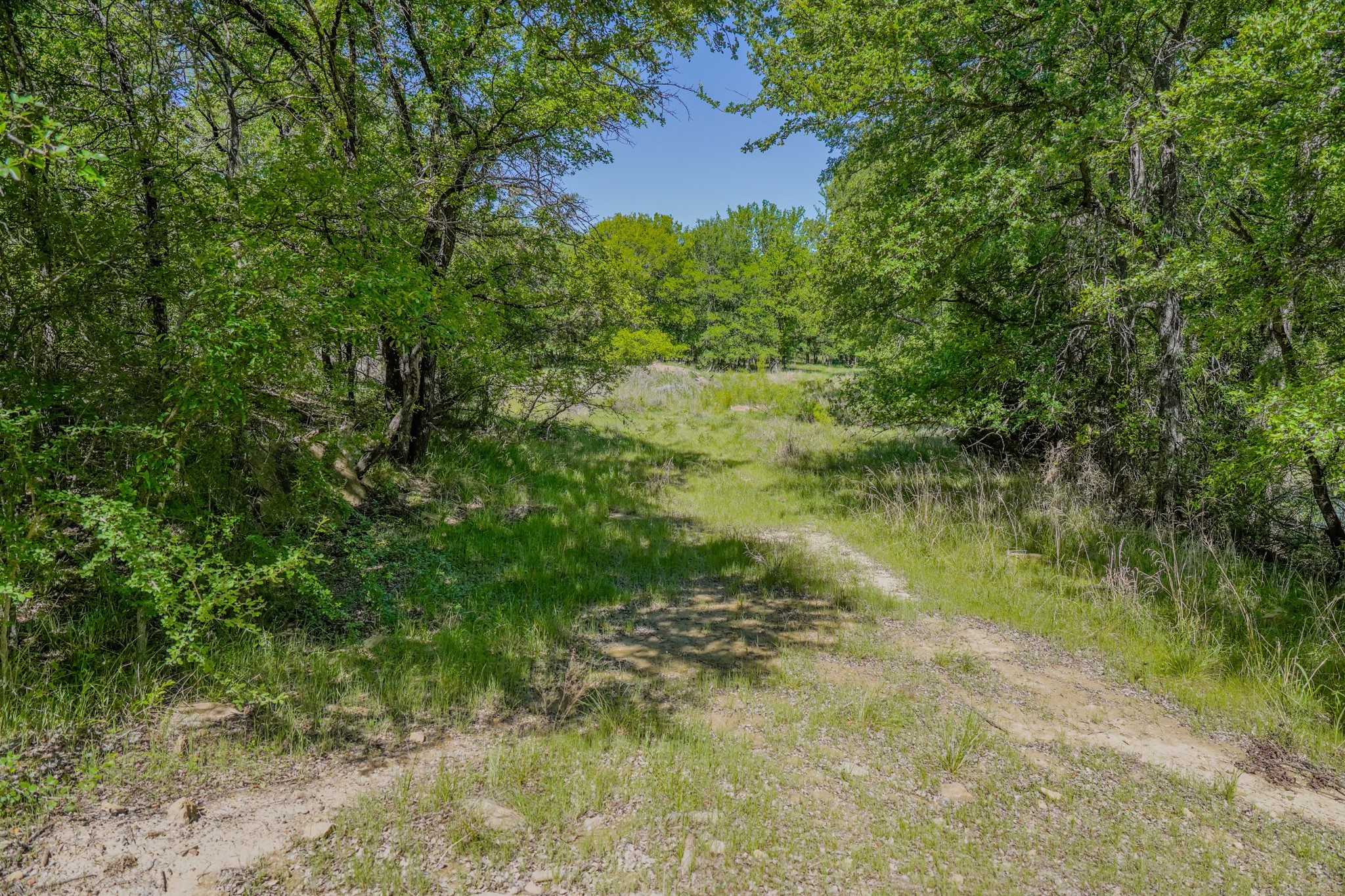 55 Acres Fm 61 Graham TX 76450