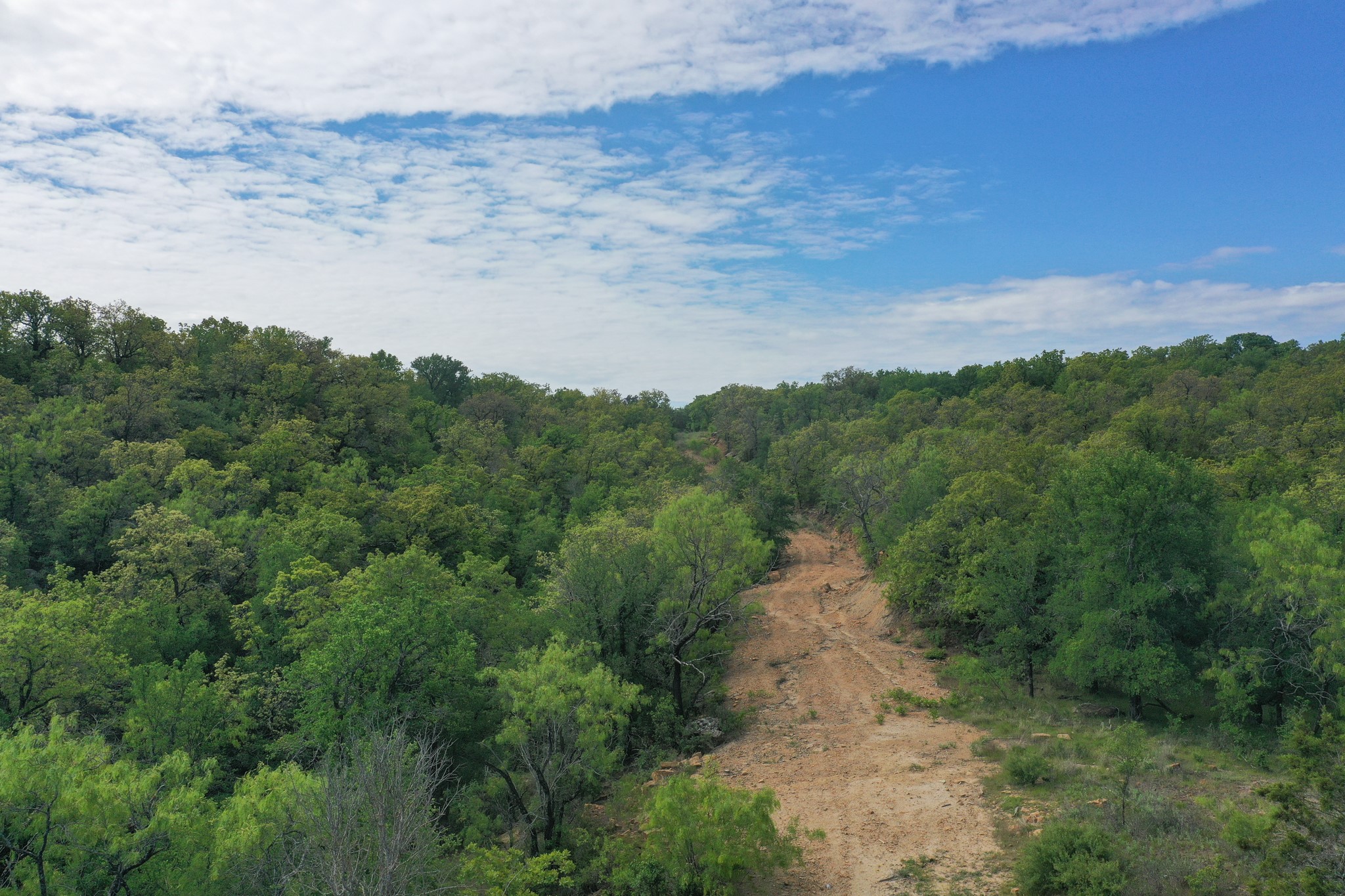 55 Acres Fm 61 Graham TX 76450