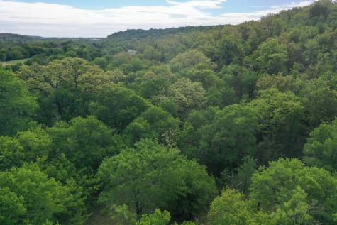 55 Acres Fm 61 Graham TX 76450