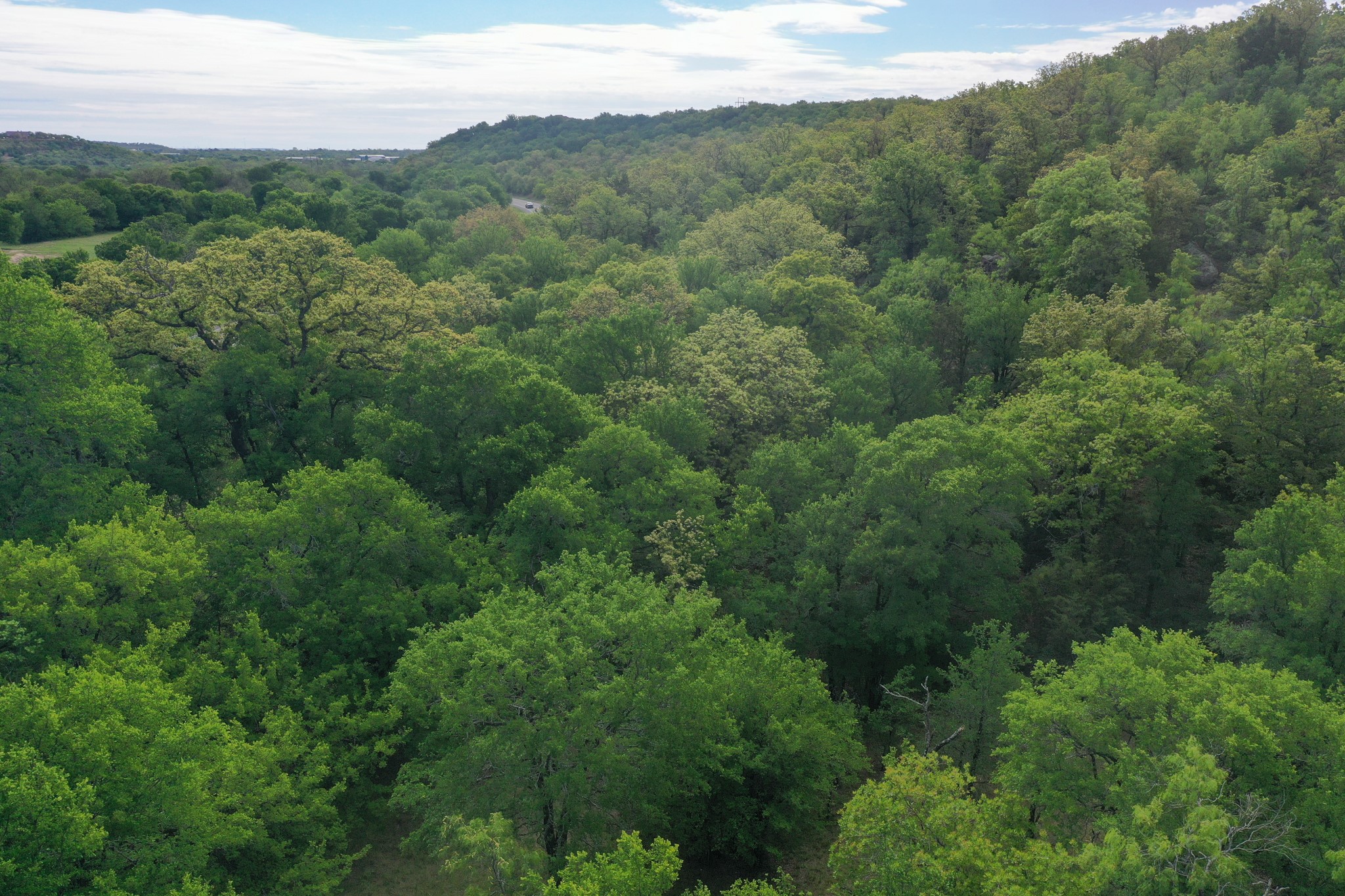 55 Acres Fm 61 Graham TX 76450