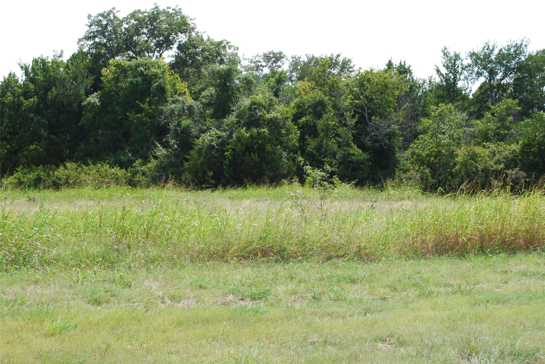 4036 Whitecrest Drive Whitney TX 76692