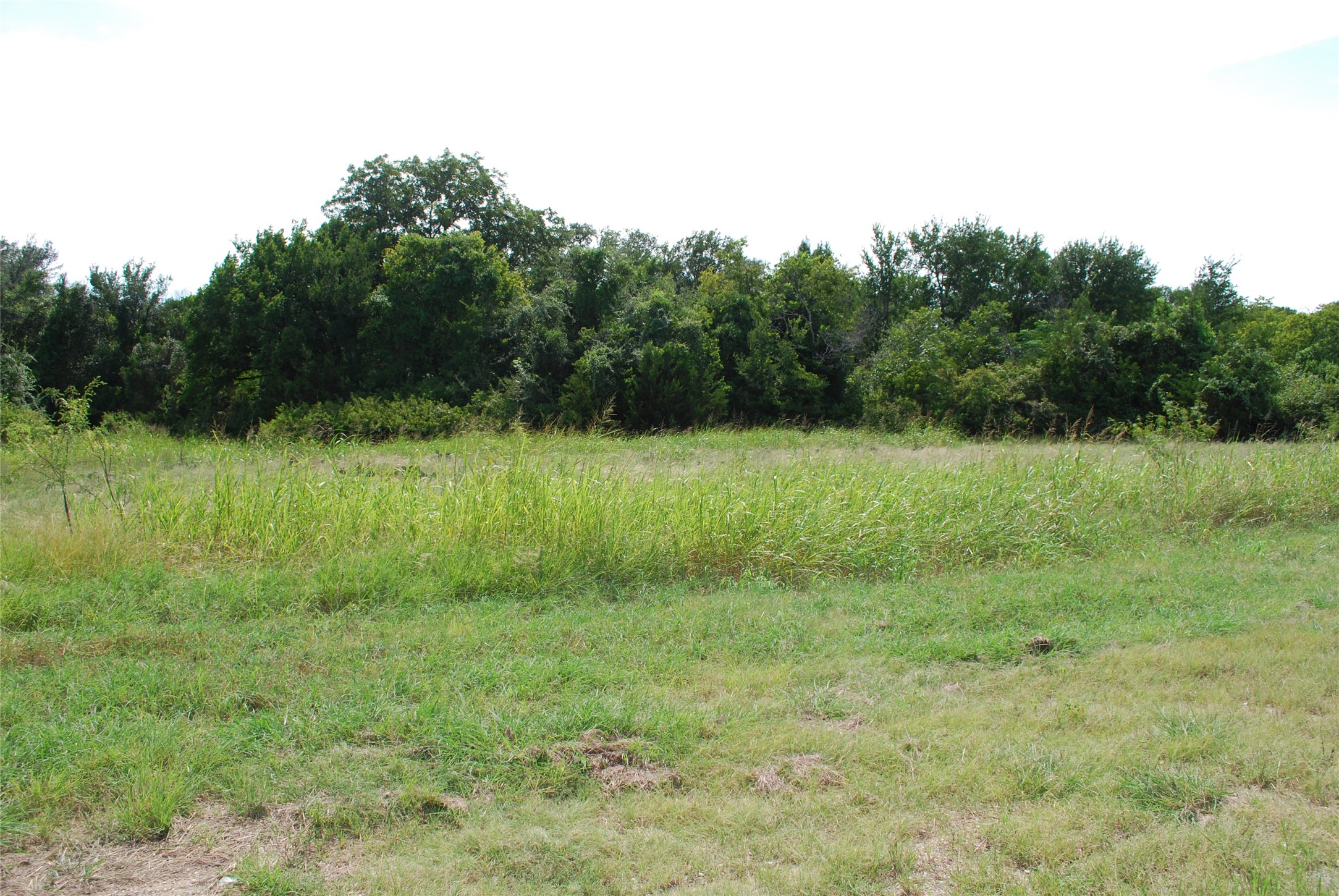 4036 Whitecrest Drive Whitney TX 76692