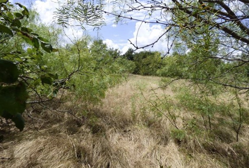 Lot 10 Blue Fathom Drive Runaway Bay TX 76426